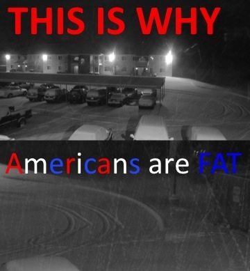 Americans Are Fat 68